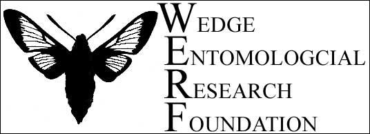 Wedge Entomological Research Foundation